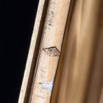 Antique French silver gilt and enamel box. - Image 3