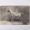 Bronze Napoleon Bonaparte on horseback by Louis Marie Morise — изображение 8