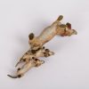 Antique Colored Wien Bronze. Dimensions: 4,5 x 12,5 x 5 cm.