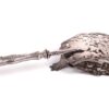 French asparagus tongs - Image 3