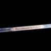 Fine Imperial German Lion Head Shooting Guild Sword with Motto on the blade - Image 17