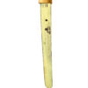 原始的 WW II 98 型日本陆军军官 Shin-Gunto 武士剑 - 图片 13